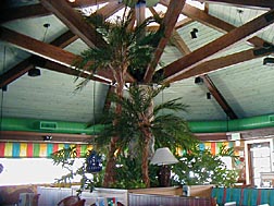 Bahama Breeze