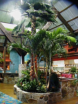 Bahama Breeze