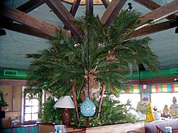 Bahama Breeze