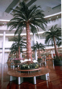 Naha Airport