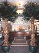 Primo Hair Design