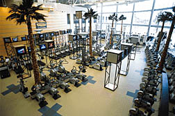RDV Sportsplex