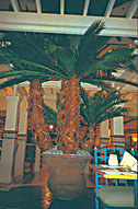 Sheraton Hotel