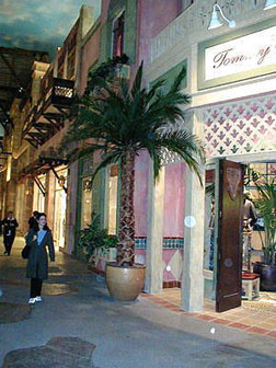 Tommy Bahamas