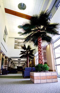 Waccamaw Community Hospital